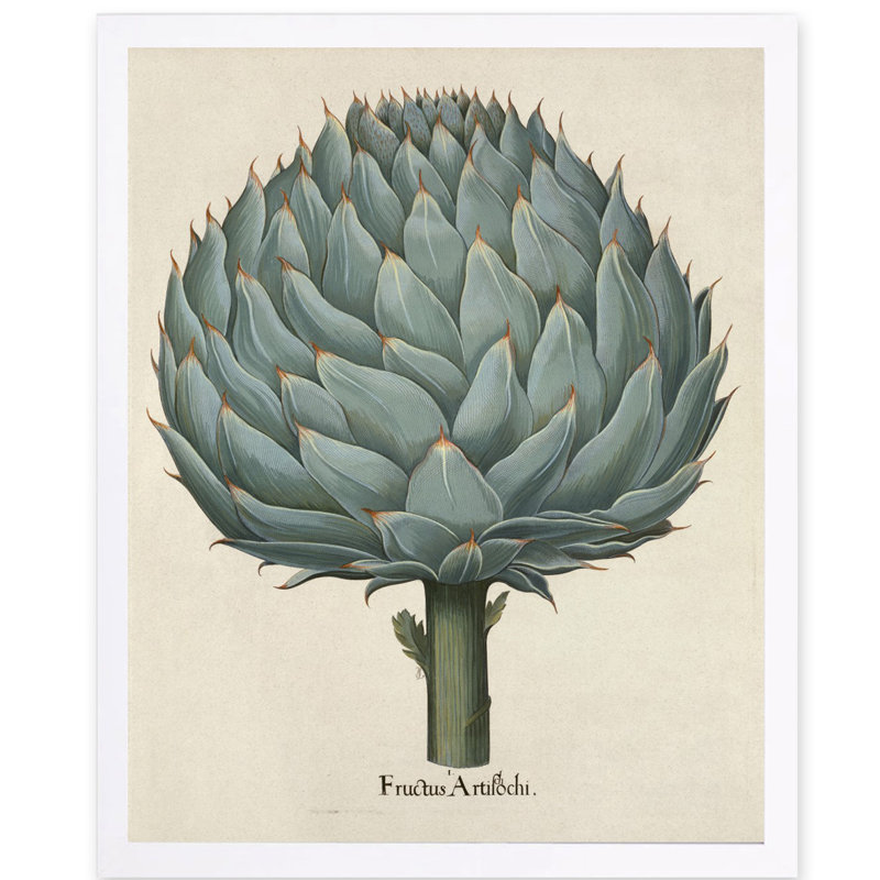 « fructics artifochi », impression sur image, H 24 po x l 16 po