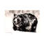 Frosty Shower by Soo Beng Lim - Wrapped Canvas Gallery-Wrapped Canvas Giclée-249391760