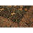Wool Oriental Rug