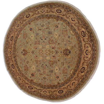 Baccio Wool Oriental Indoor Rug