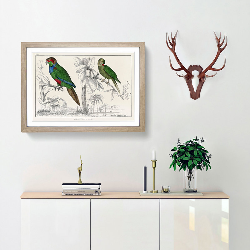 Parrots by Oliver Goldsmith - Framed Print, 48cm H x 65cm W x 2cm D, Oak Framed
