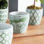 Pashia Handmade Ceramic Planter