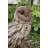 Animals Weather Resistant Water Resistant UV Resistant Polyresin Garden Statue