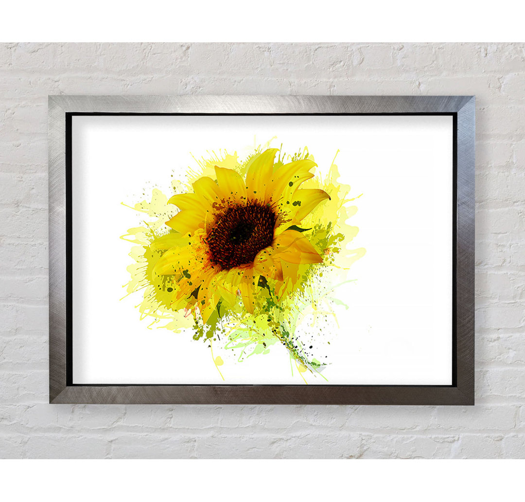 Sonnenblume Splash 1 Gerahmter Druck