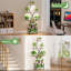 Support pour plante d'intérieur 62 po avec lumières de culture, support à 8 niveaux en forme de pointes pour le salon, le patio et le balcon