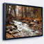 Paysage "Stream in Autumn Forest", reproduction de photo sur toile tendue encadrée-26671353