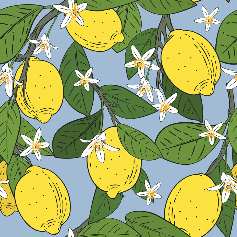 Tooleville Branches With Lemons - Wrapped Canvas Print, 51cm H x 51cm W x 3.8cm D