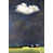 Black Floater Framed selected