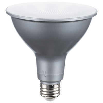 21 Watt Silver Bulb