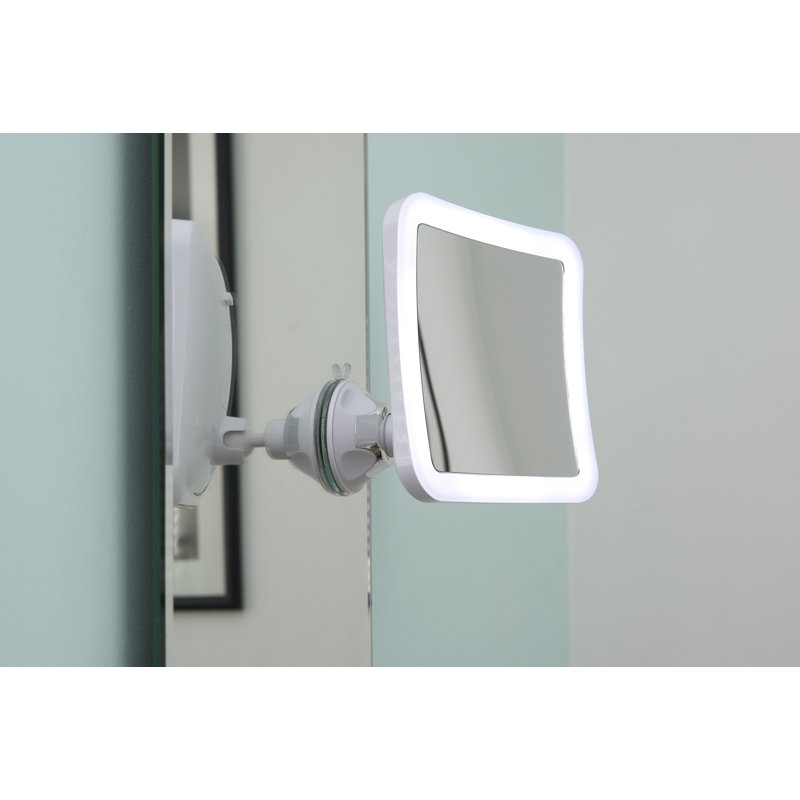 Alliviah Concave Wall Mirror
