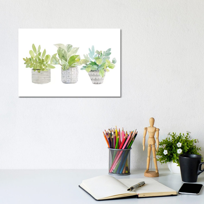 Decorative Plant Arrangement II by Lanie Loreth - Wrapped Canvas Painting, 20.32 cm H x 30.48 cm W