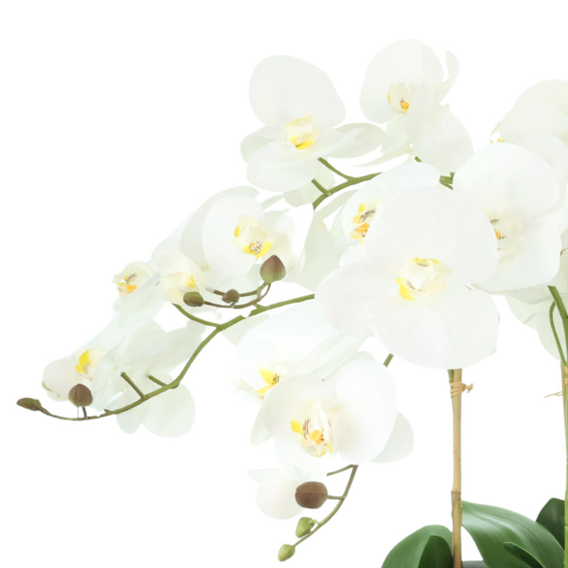 Arrangement Arrington Orchid en pot décoratif en céramique