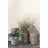 Handmade Cachepot-1559304162