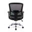 Eburnean Mesh Office Chair