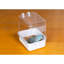 Bain d'oiseaux en plastique