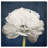 Barroso " Floral And Botanical Pretty View, Modern & Contemporary White " by Oliver Gal-66597806-68885404-119888214