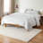 TOWN & COUNTRY EVERYDAY Cloud Shag Area Rug Ivory-91338254