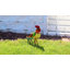 Statue de jardin coq en métal 16 po Lendol