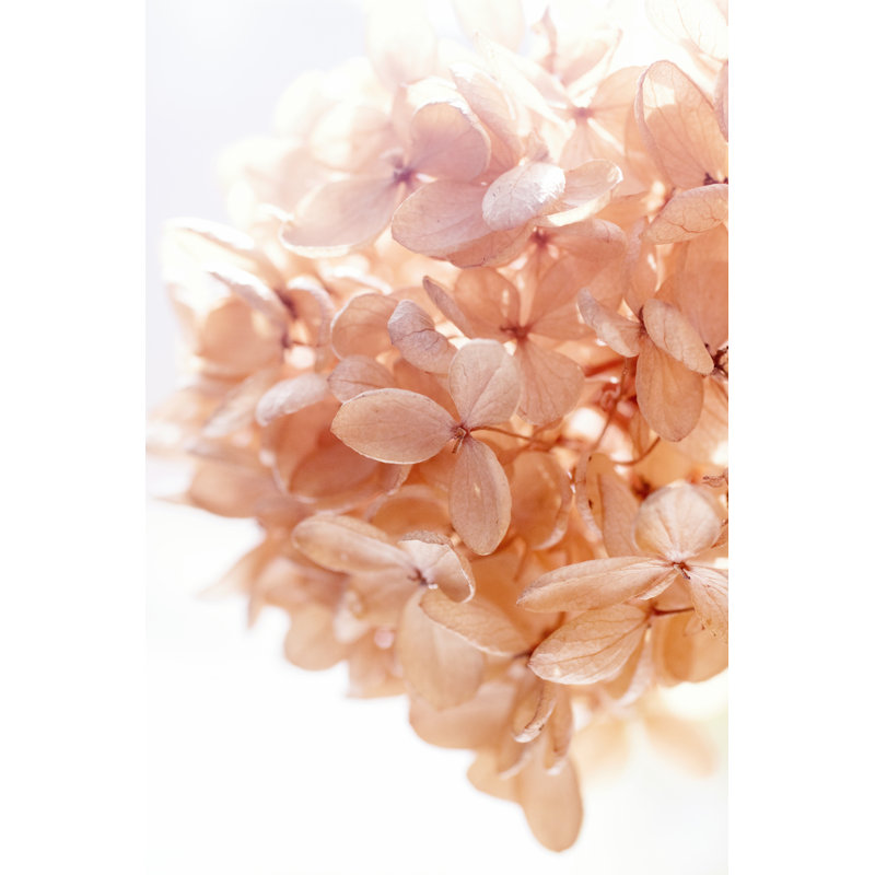 «Sunny Morning I» par Judy Stalus - photographie sur toile tendue, H 48 po x l 32 po