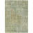 Machine Washable Indoor/Outdoor Claudian ACN1237 Sage Rug-103708900