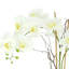 Orchid Arrangement In A Ceramic Vase
