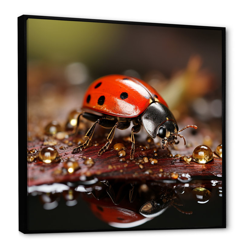 Reproduction sur toile d'une coccinelle animée, H 16 po x l 16 po x P 1 po, Cadre flottant noir