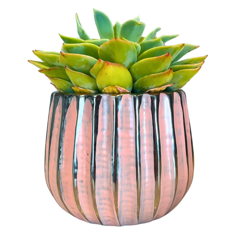 4" Ceramic Houseplant Ceramic Pot, Decorative Planter, Pink