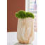 Vase Kadey