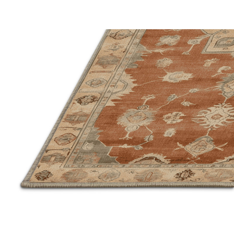 Machine Washable Overdyed Brown Area Rug, Rectangle 8' x 12'