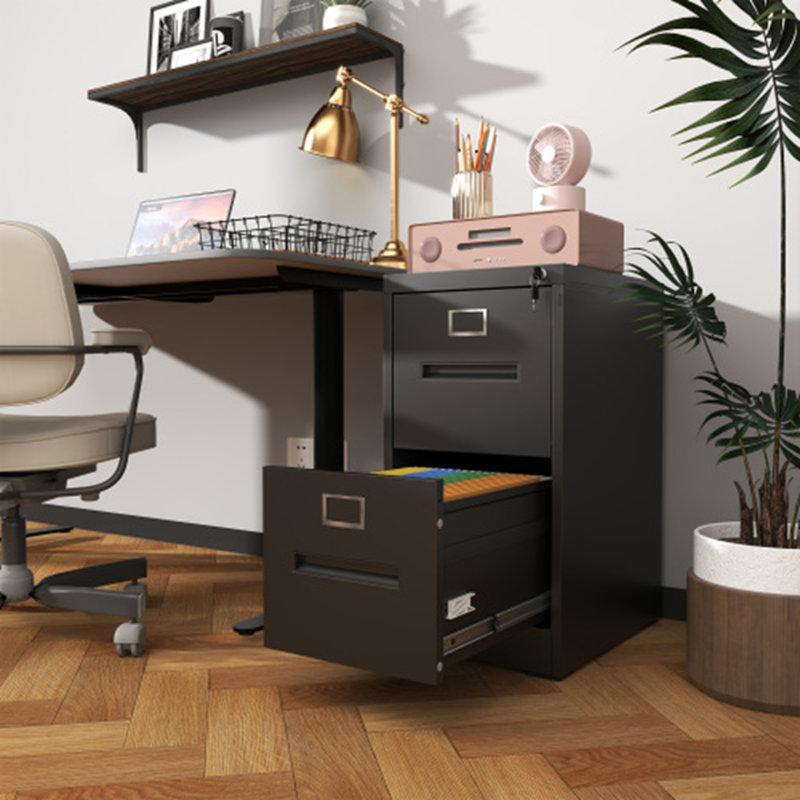 2-Drawer Lockable Metal Vertical File Cabinet for A4/Legal/Letter Size - Office & Home Use, Assembly Required, Black