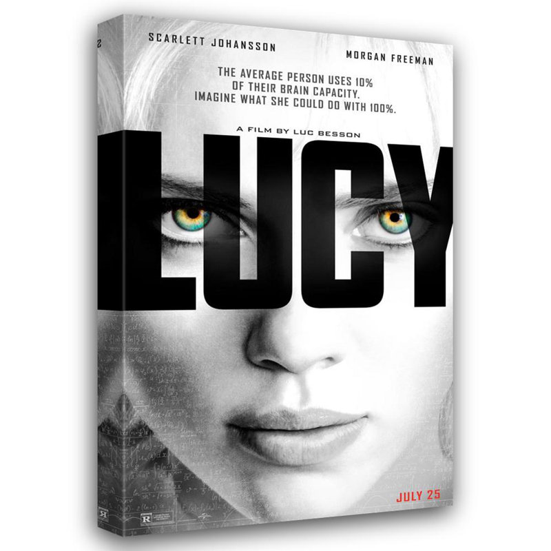 Lucy, H 24 po x l 15 po
