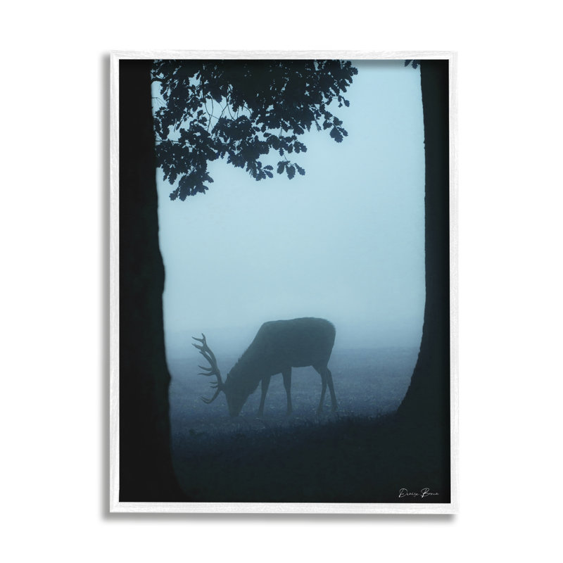 Silhouette de cerf entre les arbres et la faune de la forêt brumeuse par Denise Brown - photographie, L 16 po x H 20 po
