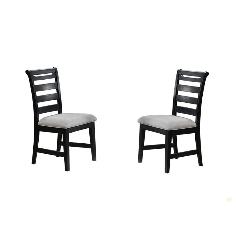 Chaises de salle à manger Modern 2Pc