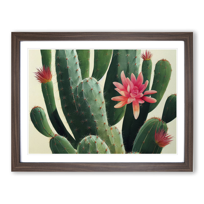 Splendorous Cactus - Framed Print, 46cm H x 64cm W x 2cm D, Walnut