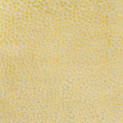 Thom Filicia Flurries Fabric