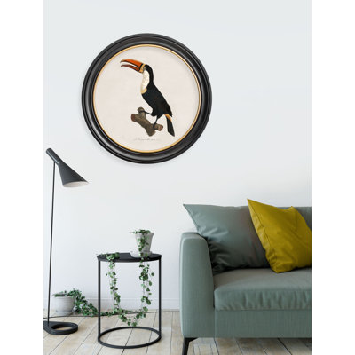 Toucan Left Facing by Mid-1800s - Single Picture Frame Print on Archival Matt 230gsm Paper