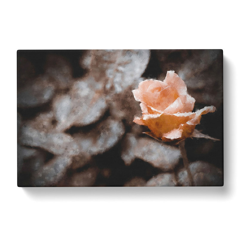Pink Rose Flower Vol.5 - Wrapped Canvas, 35cm H x 50cm W x 3cm D