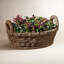 Provencal Handmade Planter-18409795