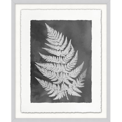 Fernspiration Gray, reproduction d'art graphique encadrée de 3 pi sur verre