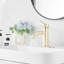 Robinet de salle de bains monotrou avec ensemble de drainage-89830409