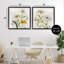 Ensemble de cadres flottants 2 pièces Pure and Simple Daisies, design par Jacob Q-225918848-225918853