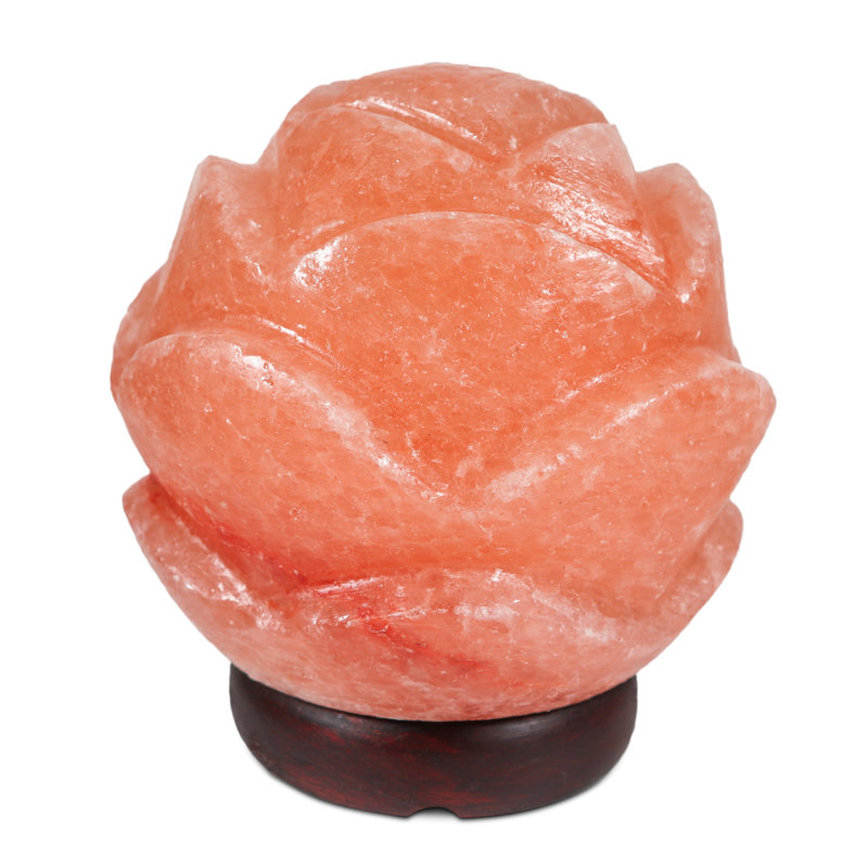 7 Lb. Plants & Flowers Themed Salt Lamp