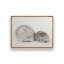 Reproduction d'art rétro «Muffin Shells» par Jennifer Rigsby-1359478033-1359478042-1359478037