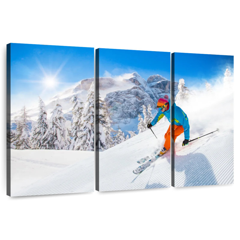 Sirci neige, ski de montagne, H 20 po x l 33 po