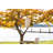 Stella Geo Palm Pod - White