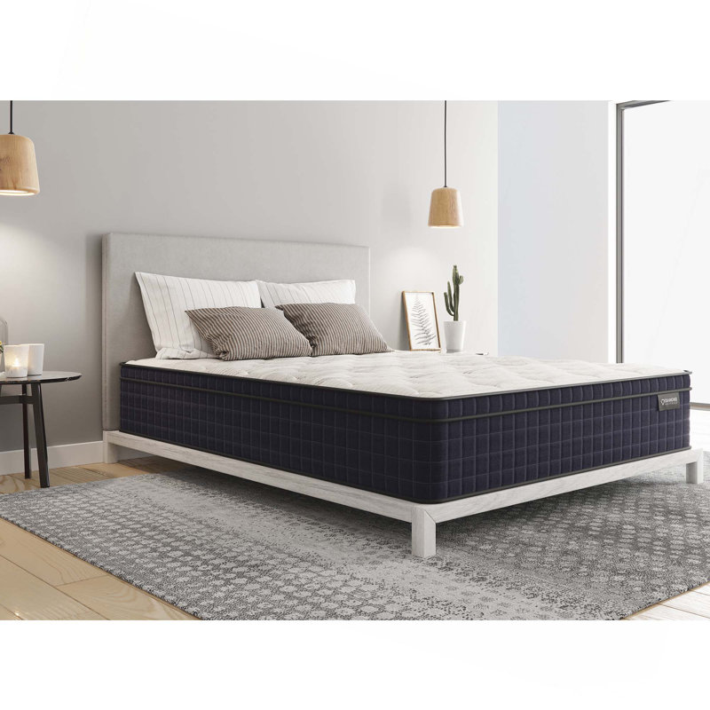 Refroidissement en cuivre Nina, soutien, bonne isolation de mouvement hybride avec luxueux plateau Euro 12,5 po, Grand