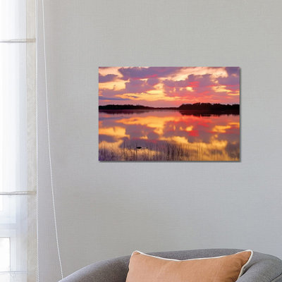 American Alligator Surfacing In Nine Mile Pond At Sunrise by Tim Fitzharris - Wrapped Canvas Print