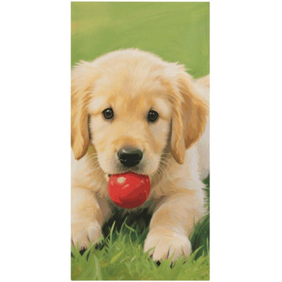 Serviette de plage pour chien en microfibre à séchage rapide, 36 x 72 po