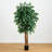 Sakaki Artificial Tree