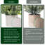 Fausse plante en pot 10 po